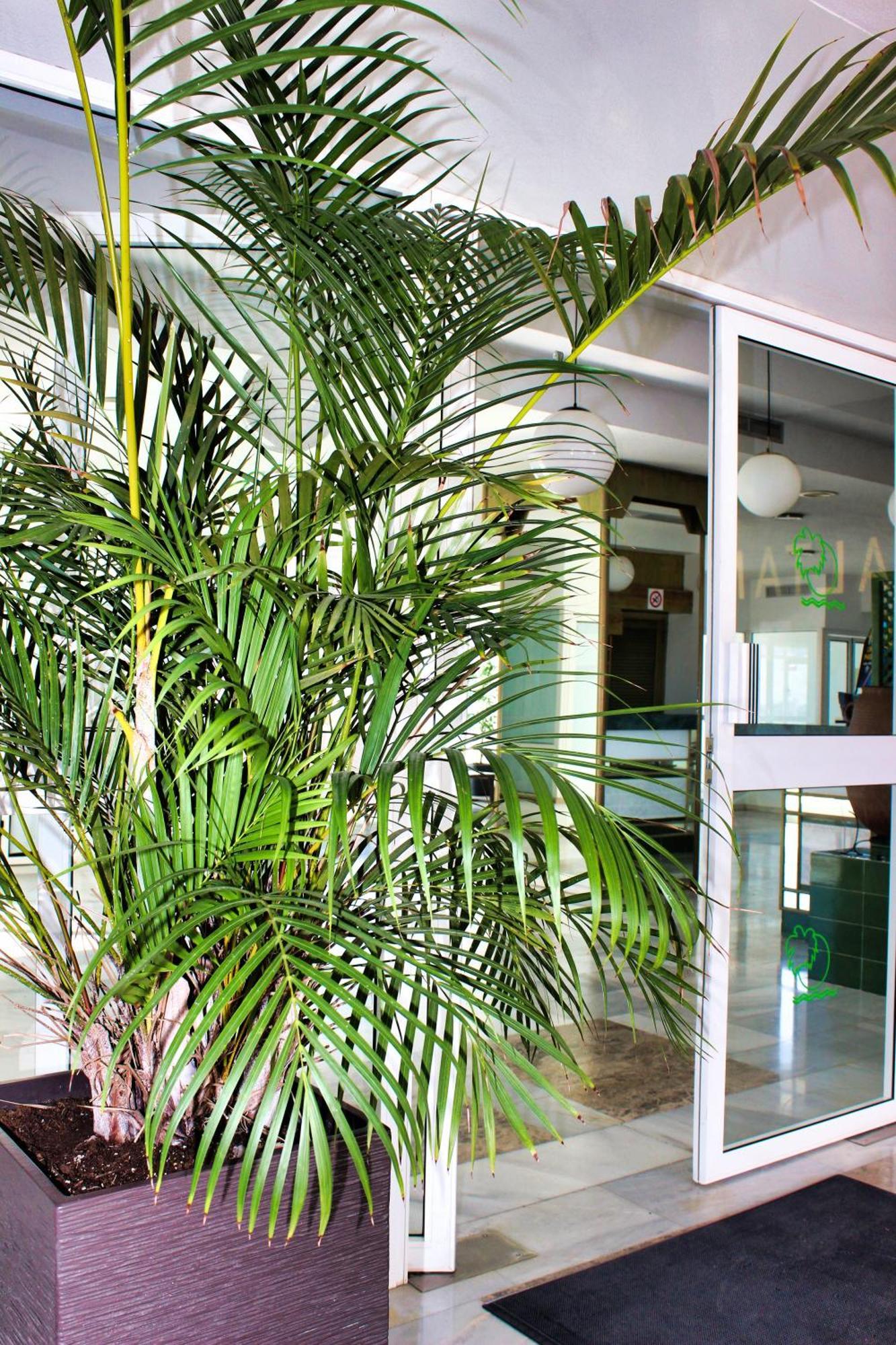 Ferienwohnung Altamira Sunset Costa Adeje  Exterior foto